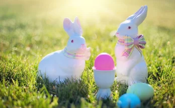 Easter eggs & bunny