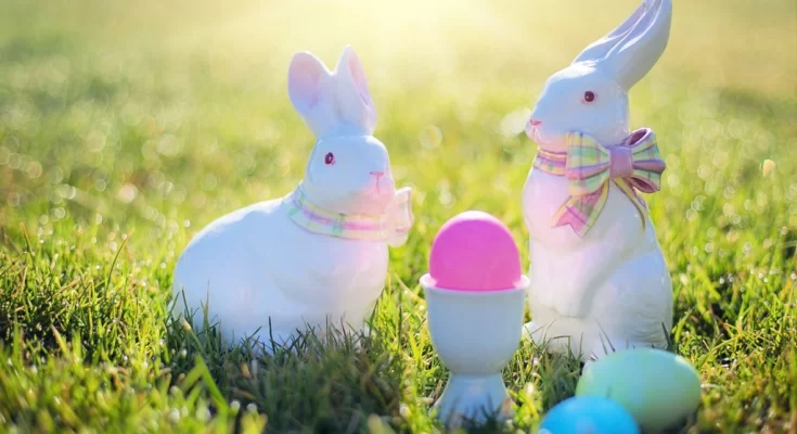 Easter eggs & bunny